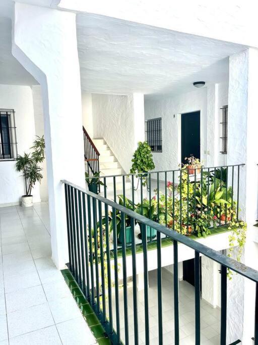 El Gato Gris Apartment Conil De La Frontera Exterior photo